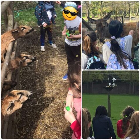 Ausflug der Grundschule Olching in den Wildpark Poing