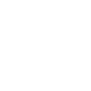 PDF Dokument